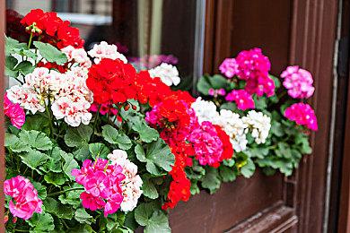 《战神5：诸神黄昏》已完成开发 开始送厂压盘